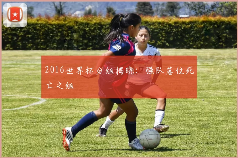 2016世界杯分组揭晓:强队落位死亡之组