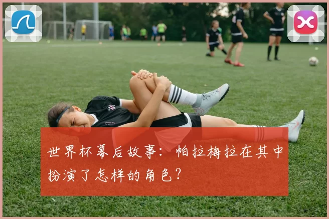 世界杯幕后故事：帕拉梅拉在其中扮演了怎样的角色？