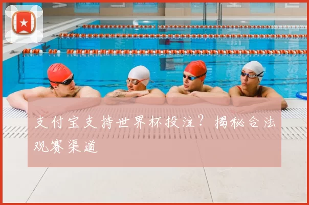 支付宝支持世界杯投注？揭秘合法观赛渠道