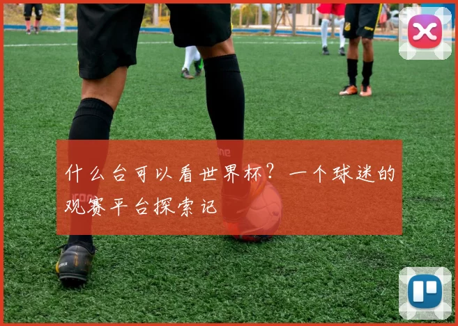 什么台可以看世界杯？一个球迷的观赛平台探索记