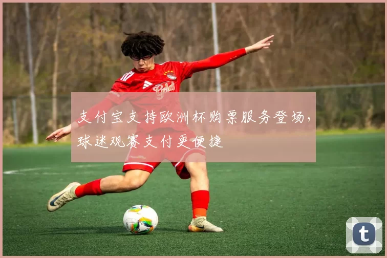 支付宝支持欧洲杯购票服务登场,球迷观赛支付更便捷