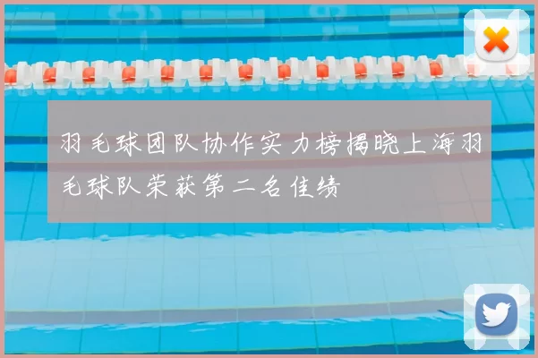 羽毛球团队协作实力榜揭晓上海羽毛球队荣获第二名佳绩
