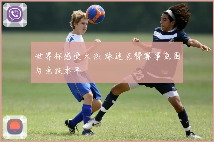 世界杯感受火热 球迷点赞赛事氛围与竞技水平