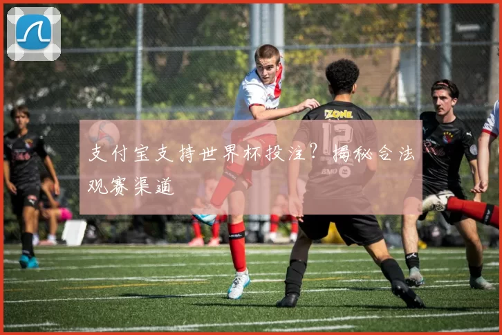 支付宝支持世界杯投注？揭秘合法观赛渠道