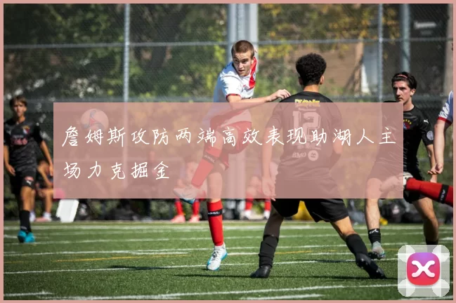 詹姆斯攻防两端高效表现助湖人主场力克掘金