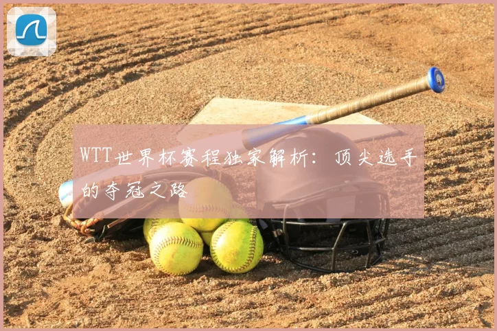WTT世界杯赛程独家解析：顶尖选手的夺冠之路