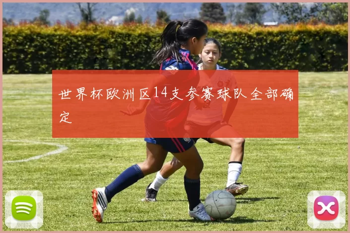世界杯欧洲区14支参赛球队全部确定
