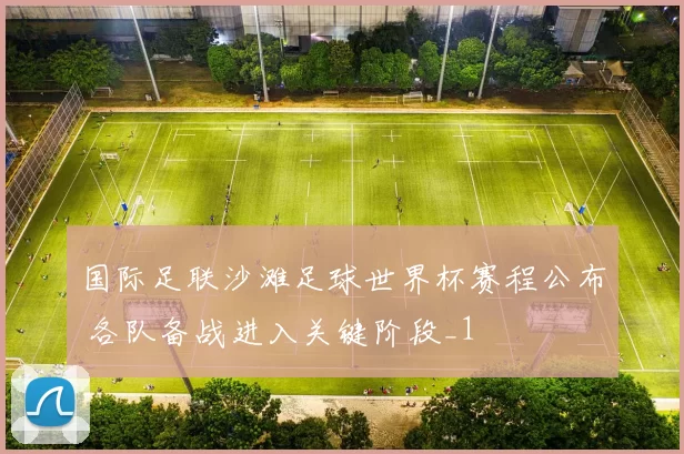 国际足联沙滩足球世界杯赛程公布 各队备战进入关键阶段_1