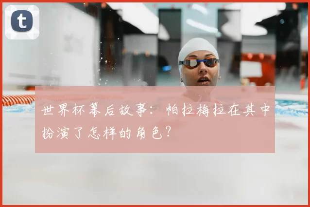 世界杯幕后故事：帕拉梅拉在其中扮演了怎样的角色？