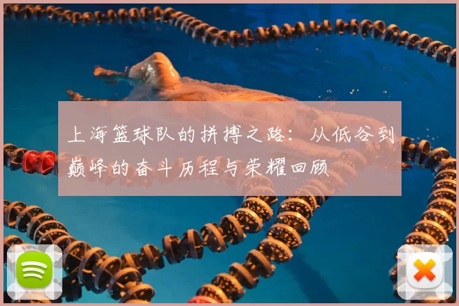 上海篮球队的拼搏之路：从低谷到巅峰的奋斗历程与荣耀回顾