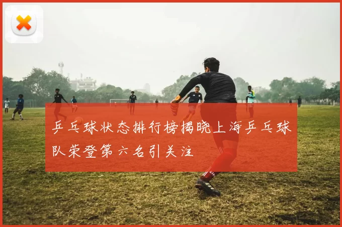 乒乓球状态排行榜揭晓上海乒乓球队荣登第六名引关注