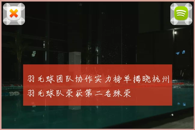 羽毛球团队协作实力榜单揭晓杭州羽毛球队荣获第二名殊荣