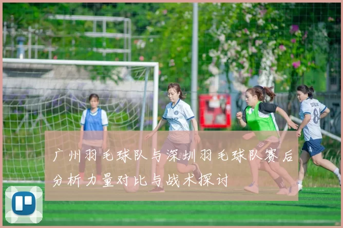 广州羽毛球队与深圳羽毛球队赛后分析力量对比与战术探讨